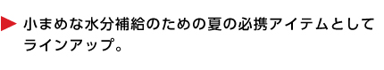 GCCXステンレスボトル